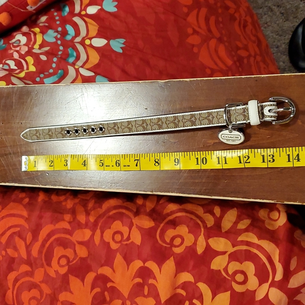 Coach Dog Collar